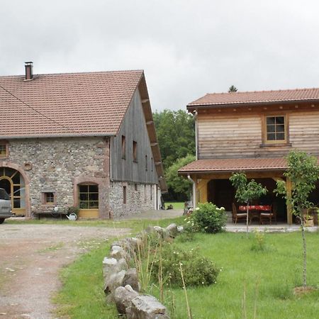 Gites Typiques Au Coeur Des Hautes Vosges Saulxures-sur-Moselotte Exterior foto