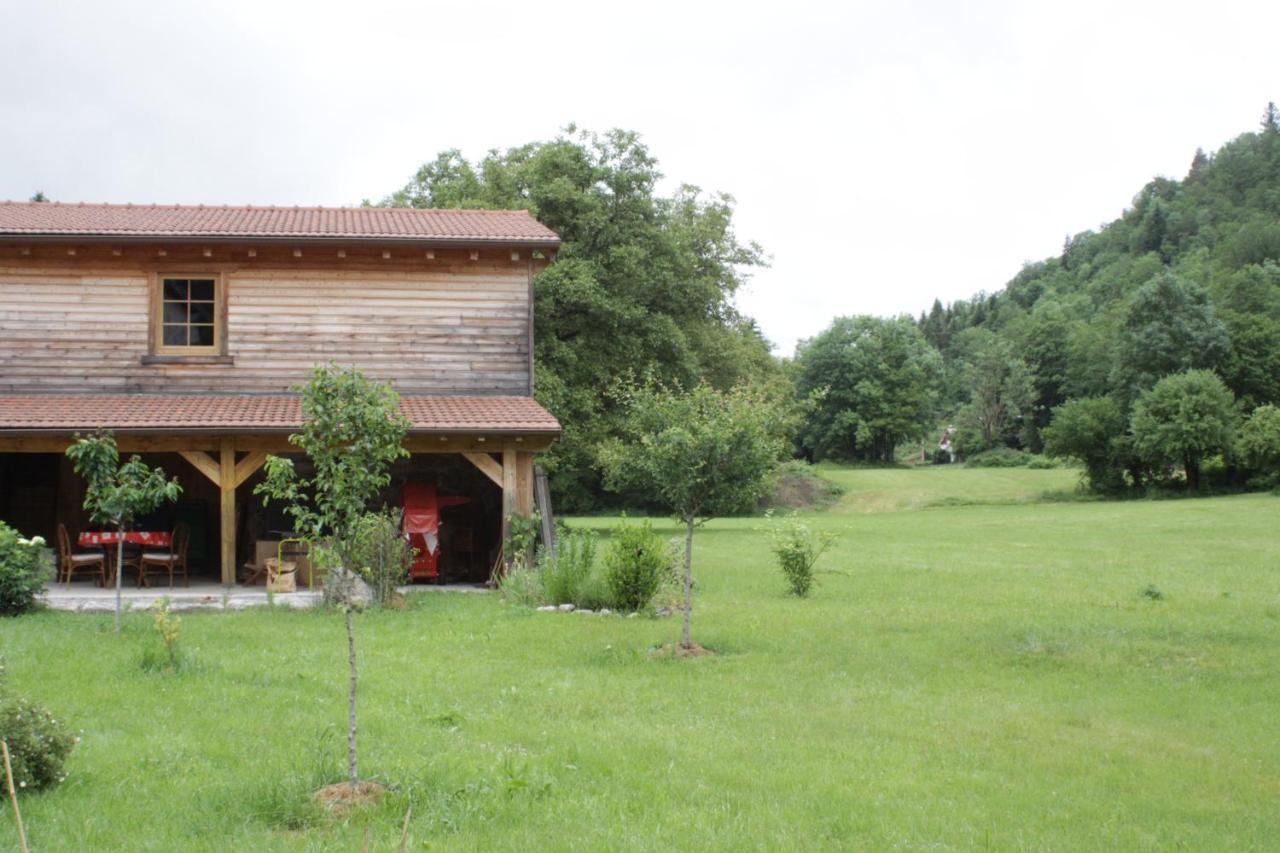 Gites Typiques Au Coeur Des Hautes Vosges Saulxures-sur-Moselotte Exterior foto